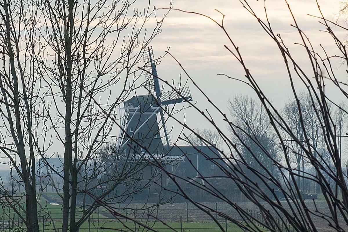 B&B Lauwersstate Paesens Buitenkant foto